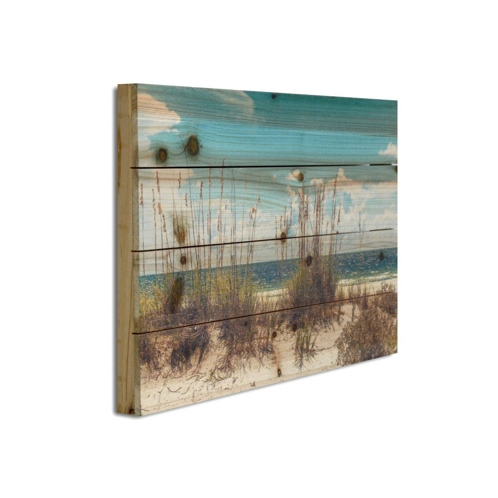 Ocean Sand Dunes Unframed Photograph Wall Art