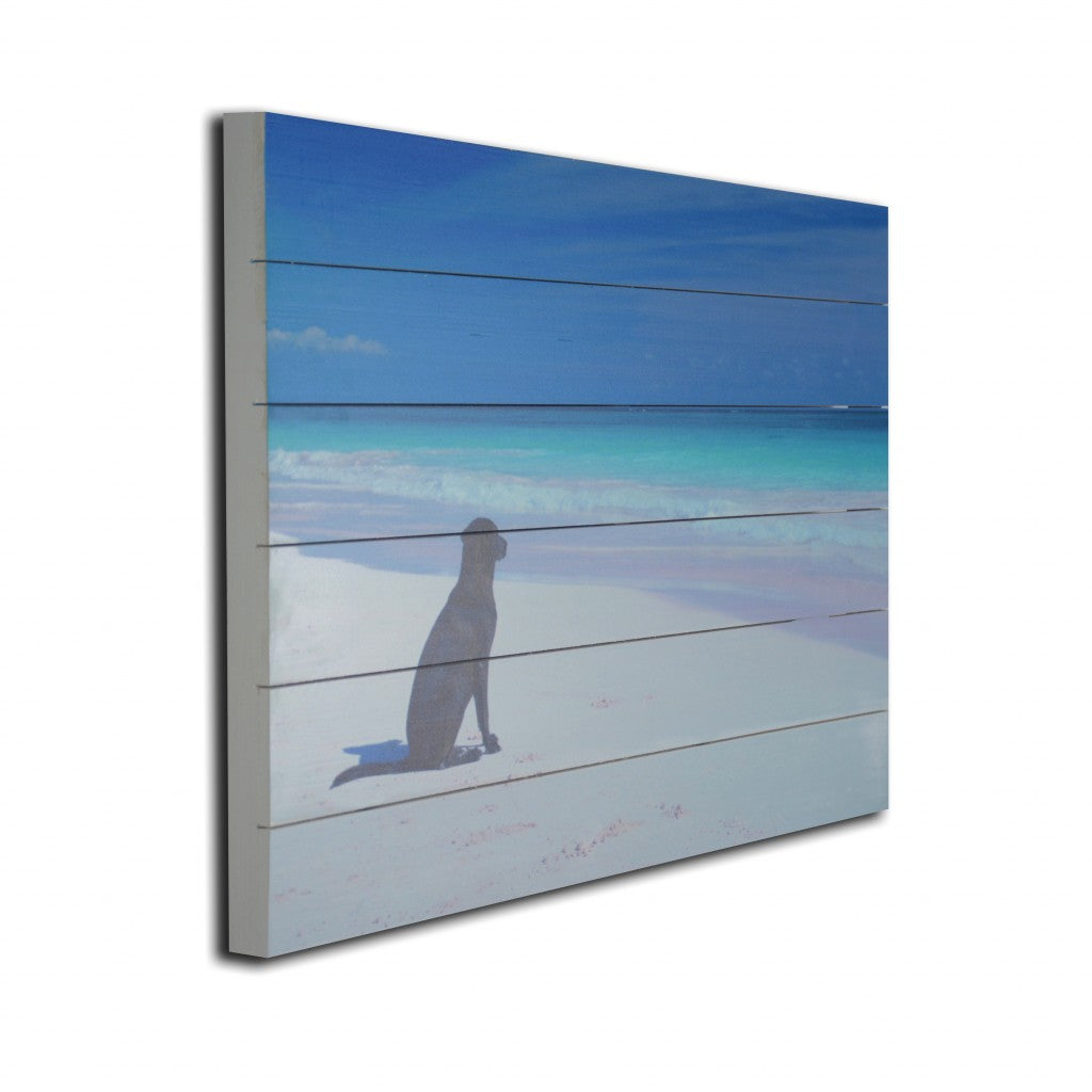 Energetic Dog At The Beach Unframed Photograph Wall Art