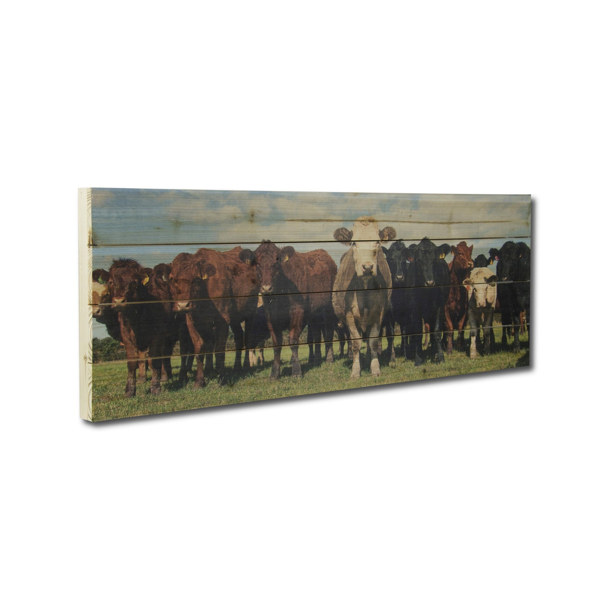 Charming Cow Herd Unframed Photograph Wall Art