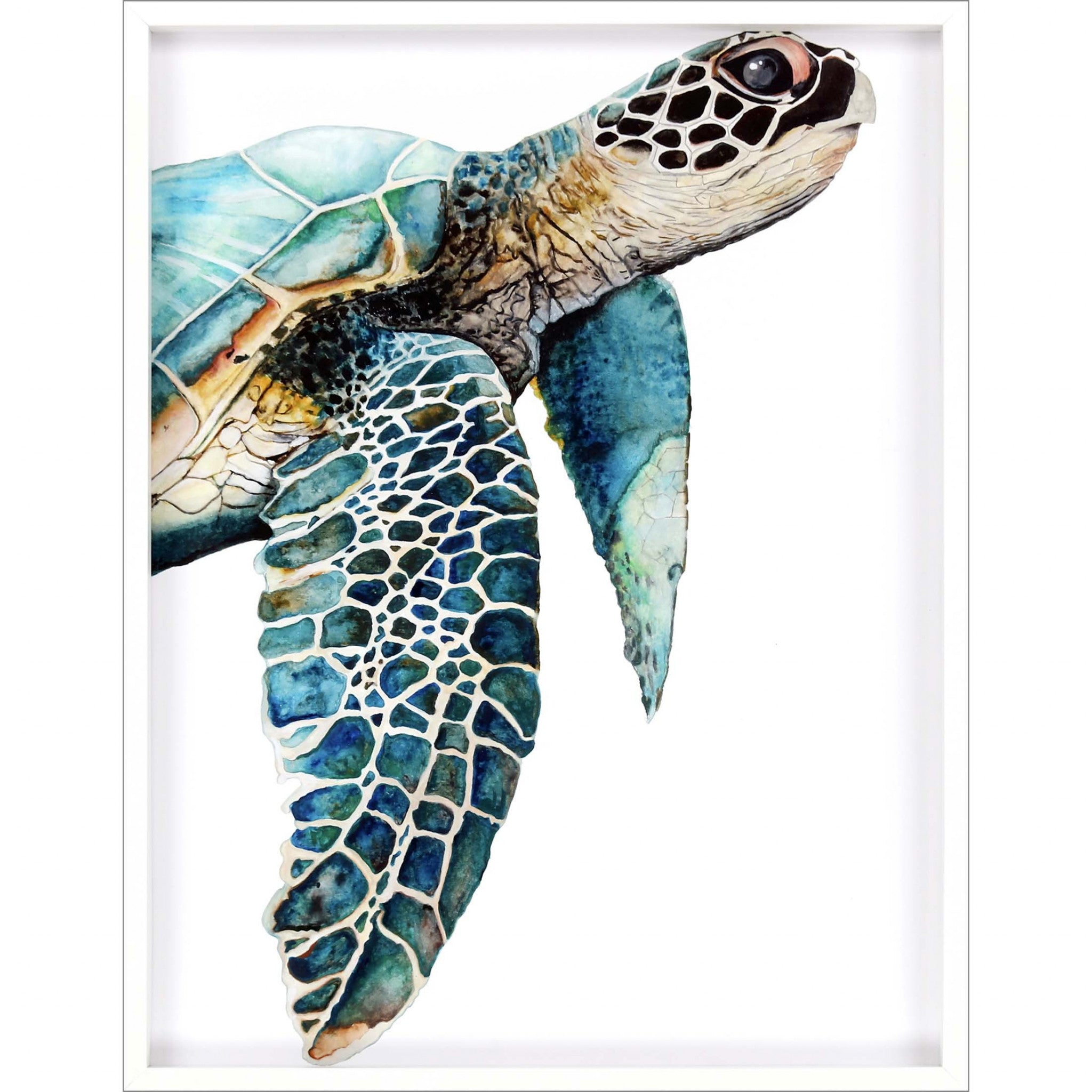 Great Sea Turtle White Print Shadowbox Framed Wall Art