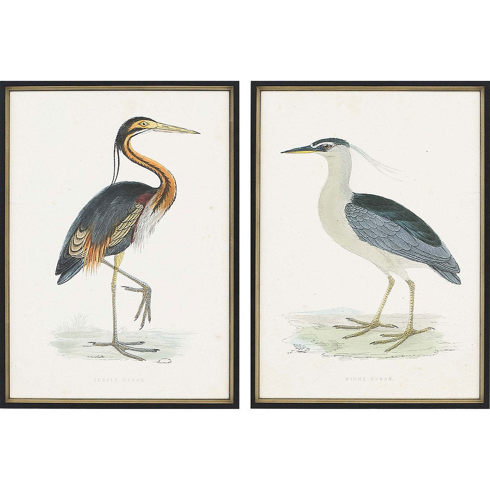 Set Of Two Herons Set Of 2 Black and Metallic Framed Print Wall Art