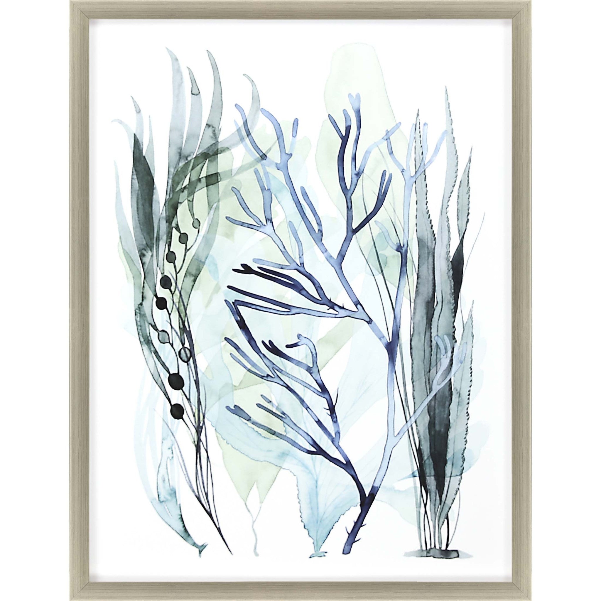 Sea Leaves Iii Framed Art Silver Picture Frame Print Wall Art