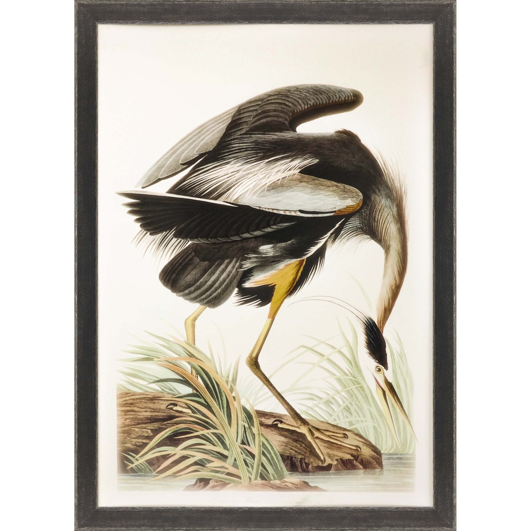 Great Blue Heron Framed Art Brown Picture Frame Print Wall Art