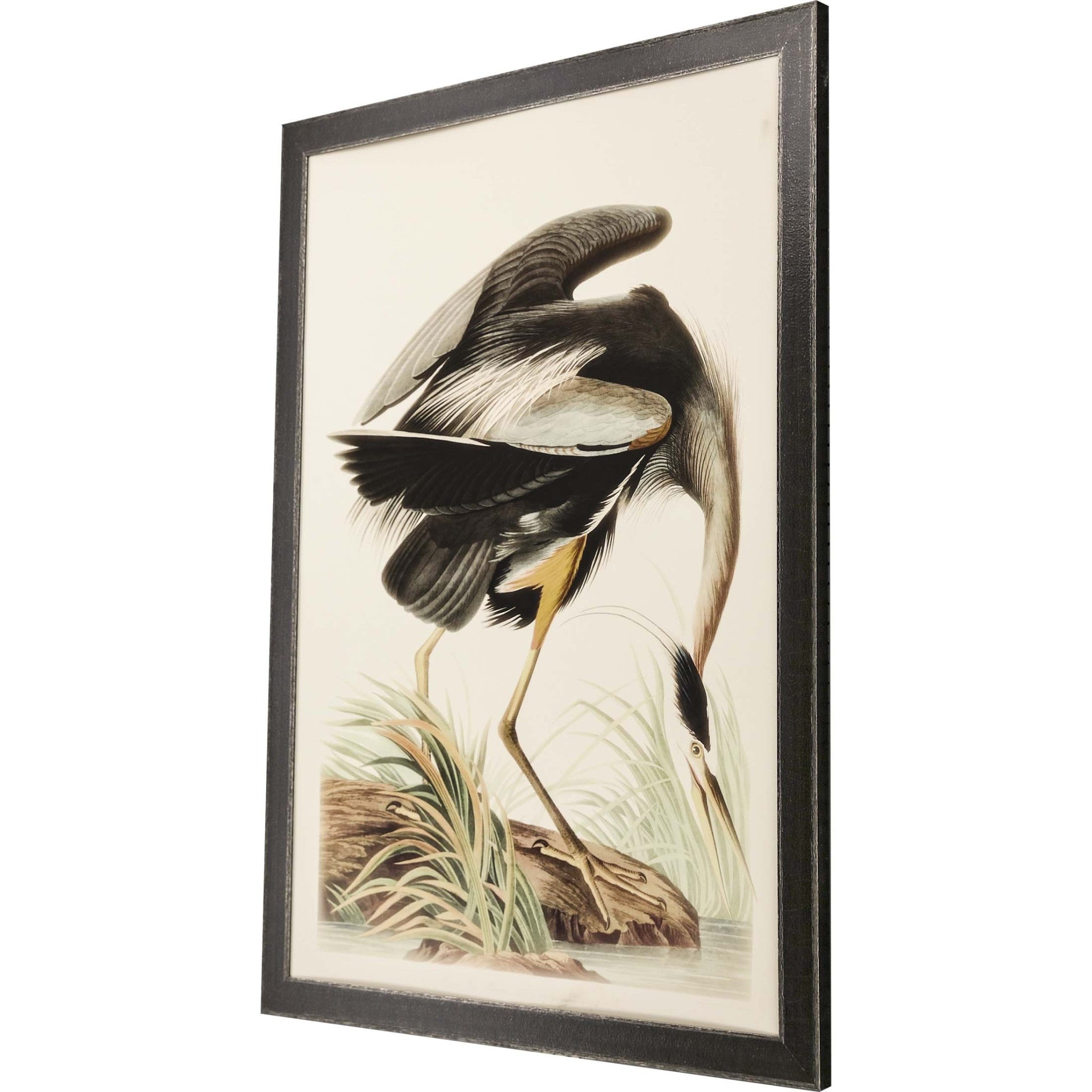 Great Blue Heron Framed Art Brown Picture Frame Print Wall Art