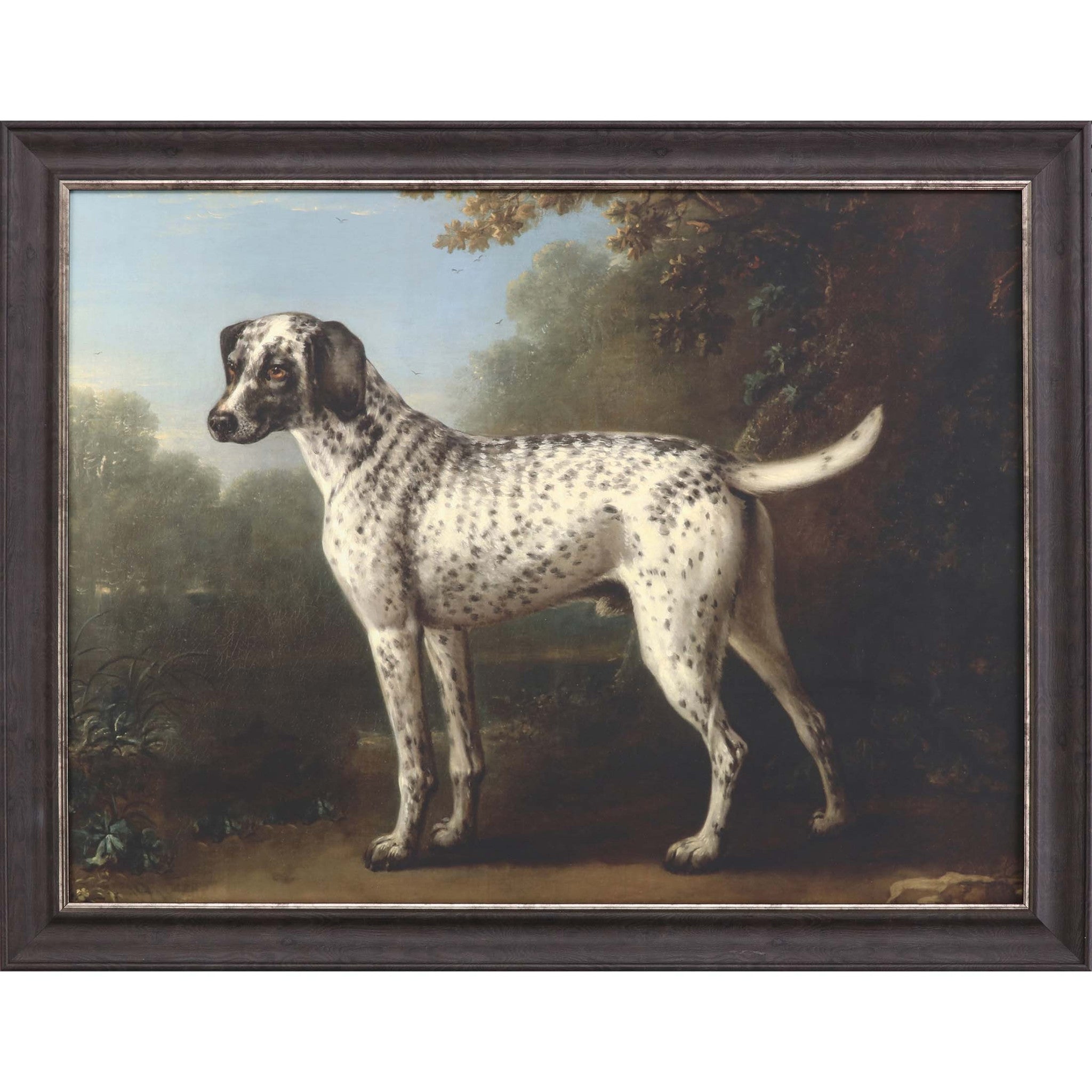 Grey Spotted Hound Framed Art Brown Picture Frame Print Wall Art