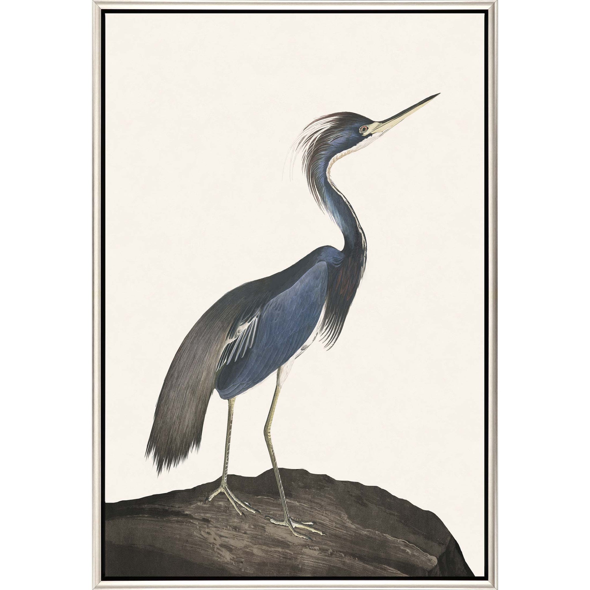 Great Heron I Canvas Silver Floater Frame Print Wall Art