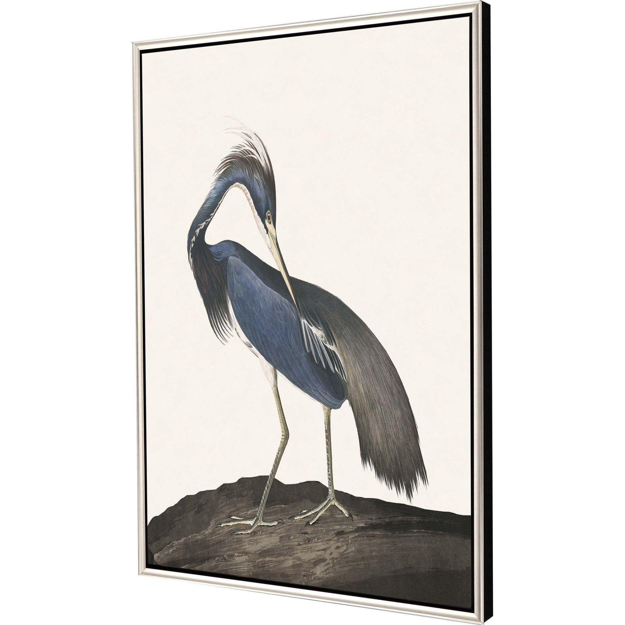 Great Heron Ii Canvas Silver Floater Frame Print Wall Art