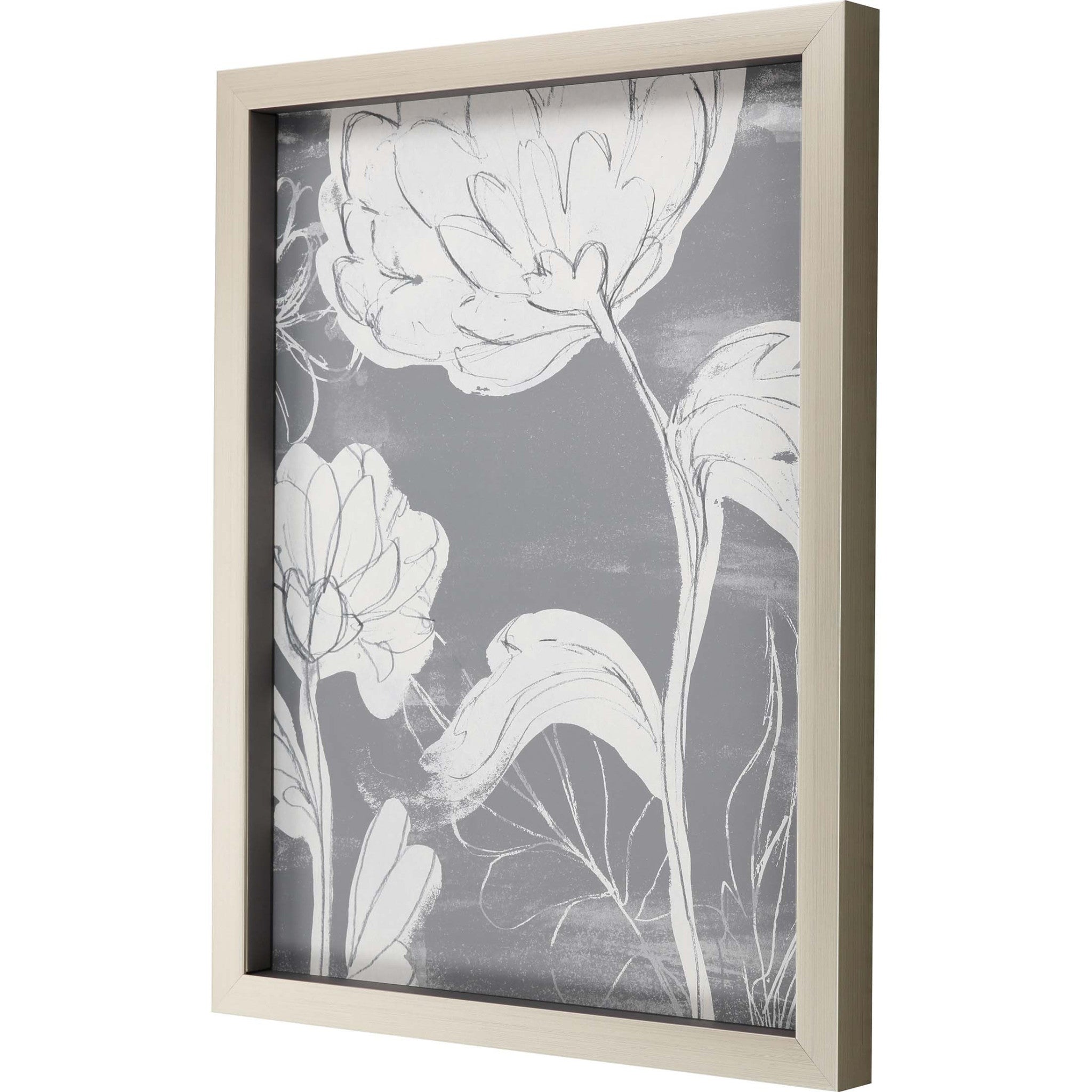 Grayscale Garden Ii Framed Art Silver Picture Frame Print Wall Art