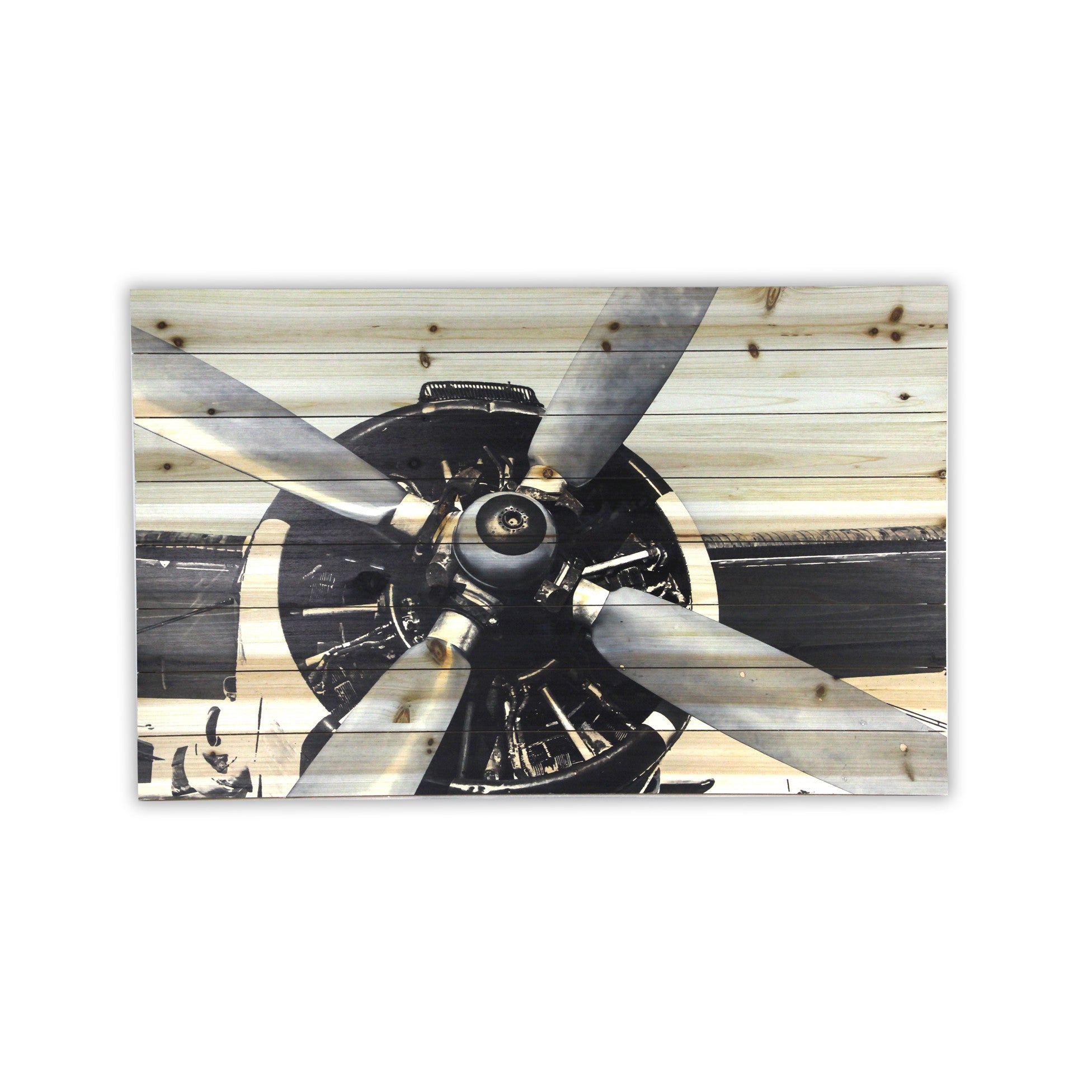 Vintage Airplane Unframed Photograph Wall Art