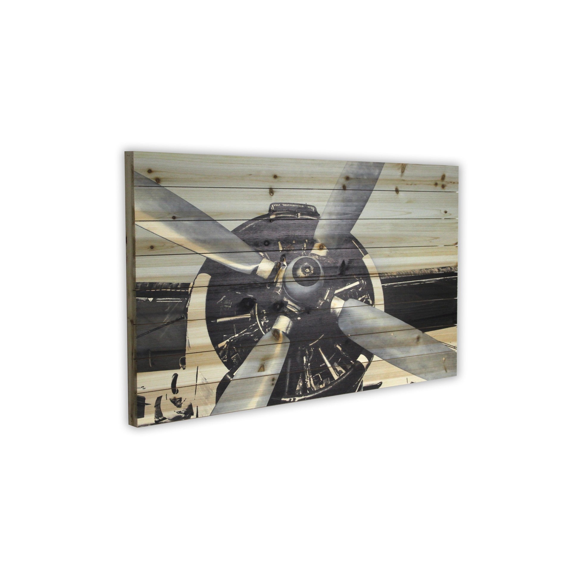 Vintage Airplane Unframed Photograph Wall Art