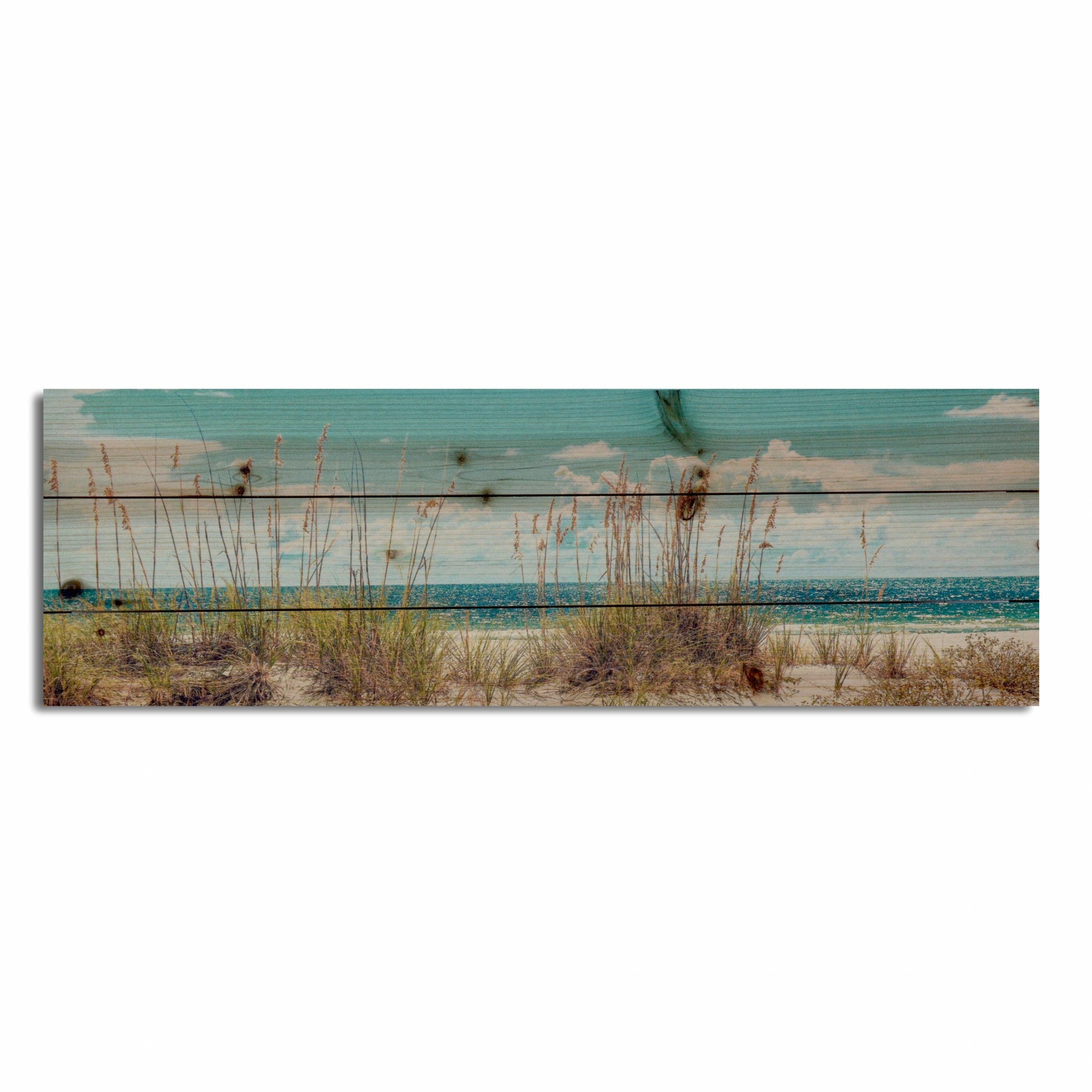 Long Ocean Sand Dunes Unframed Photograph Wall Art