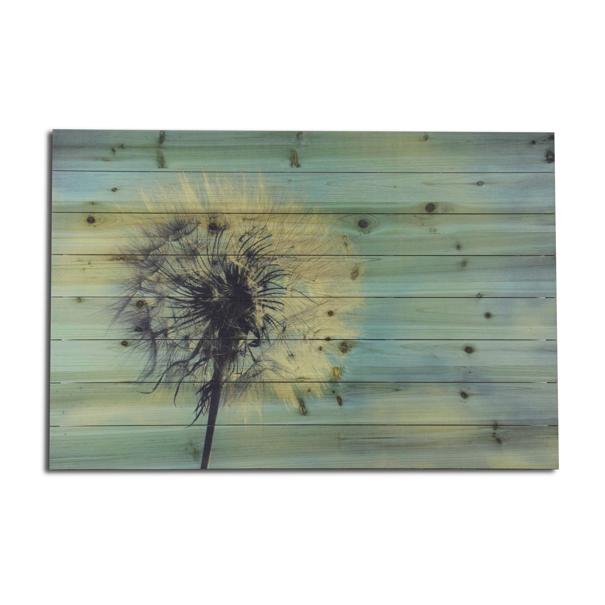 Long Soft Dandelion Wishes Unframed Photograph Wall Art